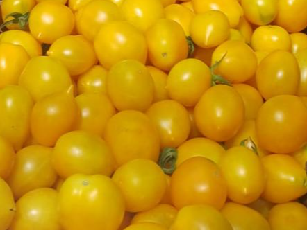 Tomate cherry amarillo