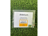 Chip EPSON F63 Amarillo