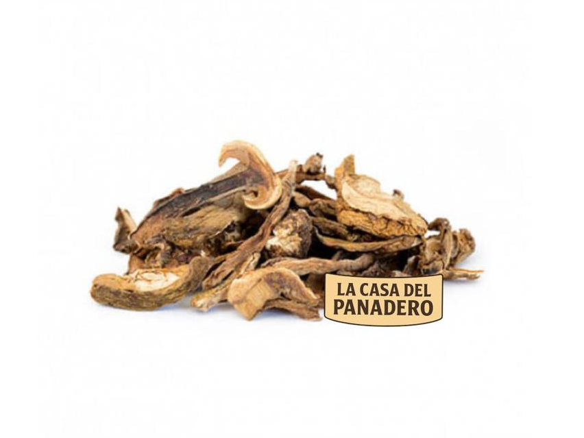 Hongos secos Boletus xkg