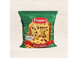 PAN DULCE FRANCE CON CHIPS 450 GR
