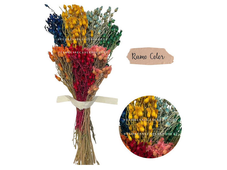 RAMO COLOR