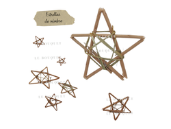 ESTRELLITAS DE MIMBRE