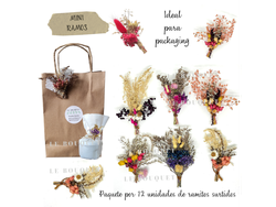 MINI RAMOS PACKAGING