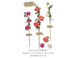 ROSA MARGOT