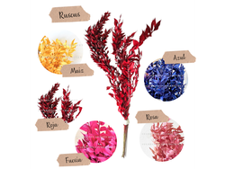 RUSCUS