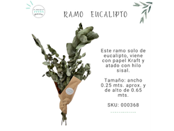 RAMO DE EUCALIPTO