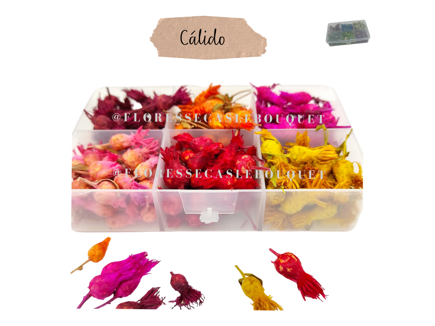 BOX PARA DECORAR VELAS PROMO 4 de FLORES SECAS LE BOUQUET