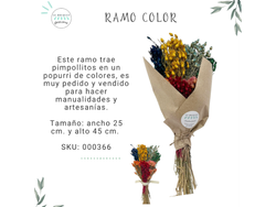 RAMO COLOR