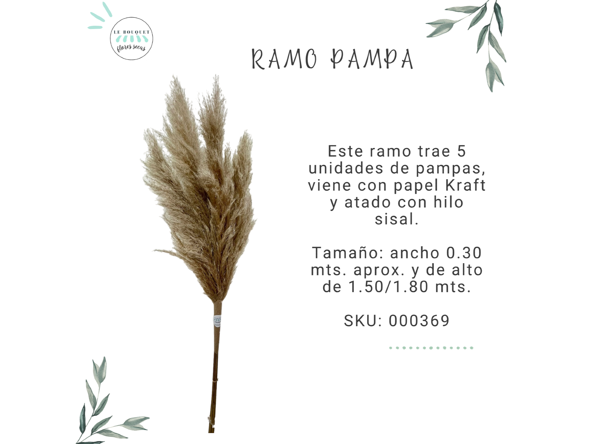 RAMO PAMPA