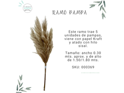 RAMO PAMPA