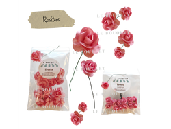 ROSITAS MINI DE PAPEL