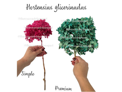 HORTENSIAS GLICERINADAS