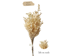 RUSCUS PREMIUM
