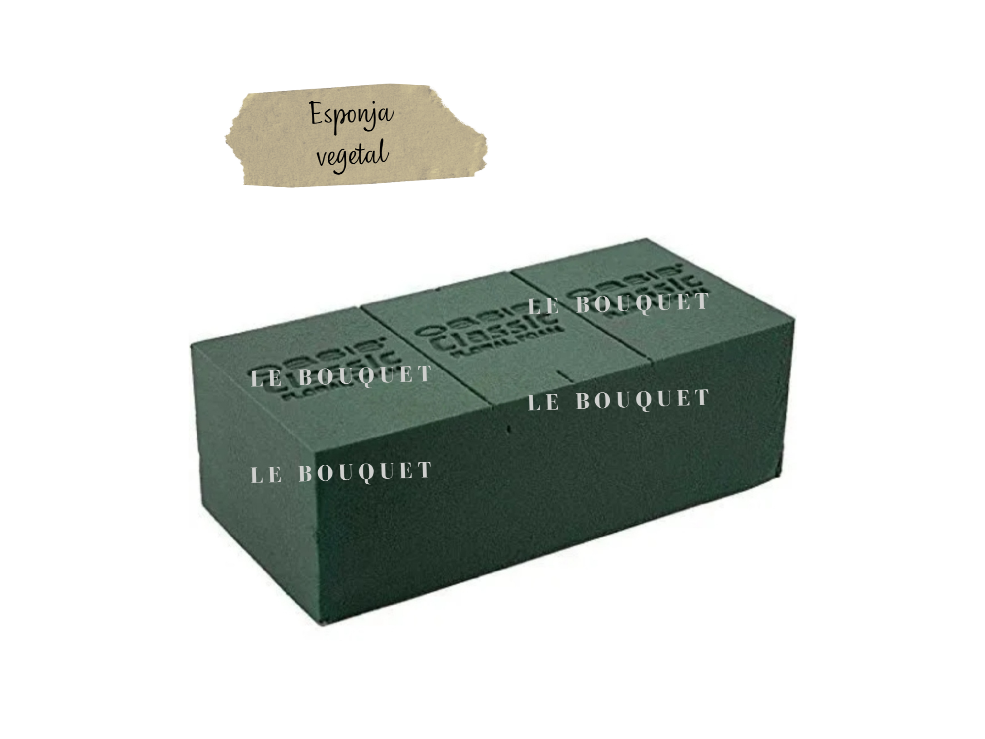 ESPONJA VEGETAL OASIS