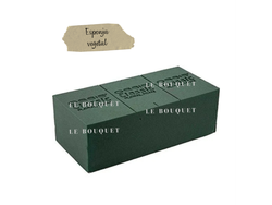 ESPONJA VEGETAL OASIS