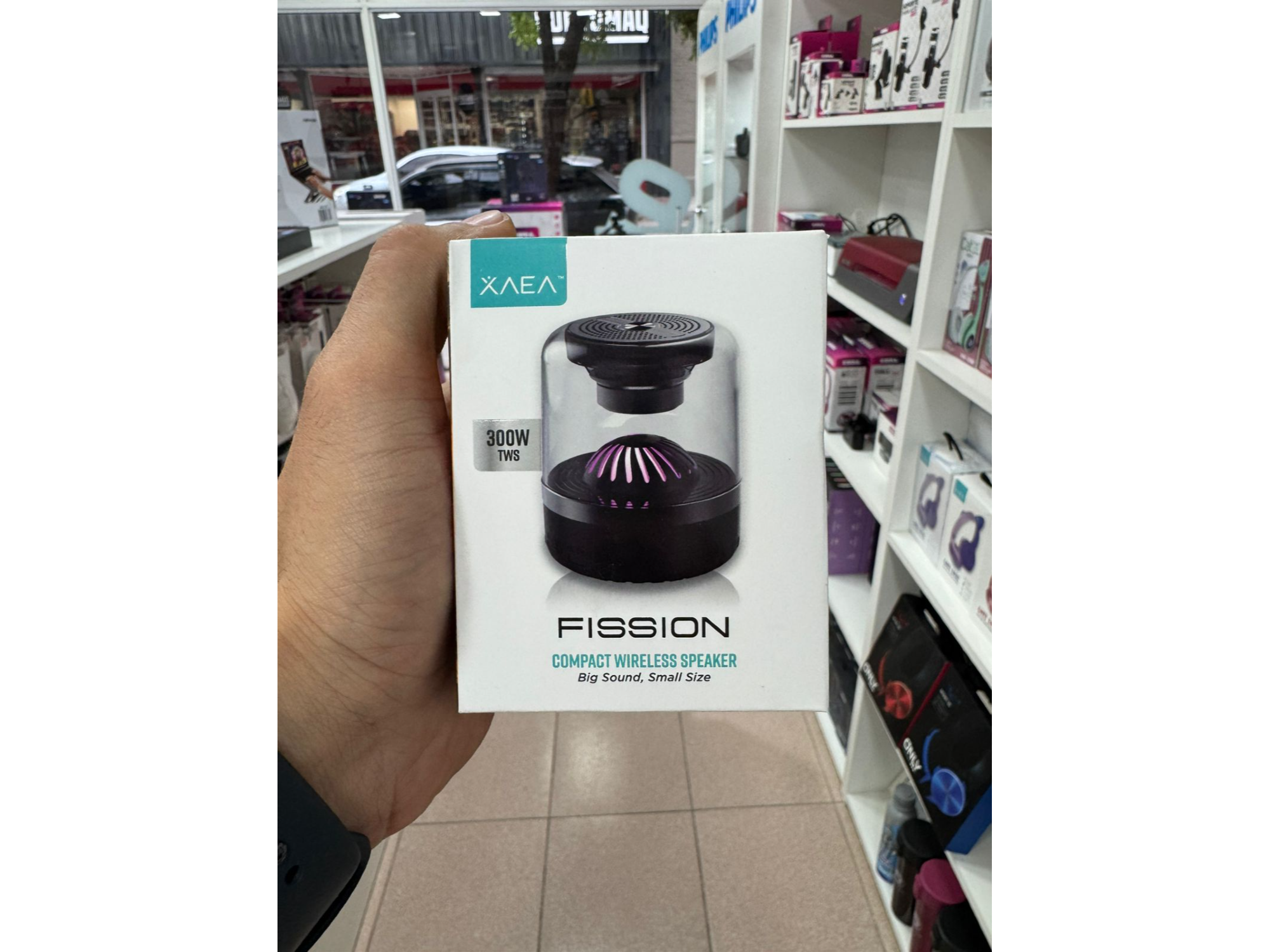 PARLANTE FISSION XAEA