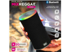 PARLANTE SOUL XS850 MIX REGGAE 10W