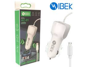 CARGADOR 12V IBEK 3.1A v8