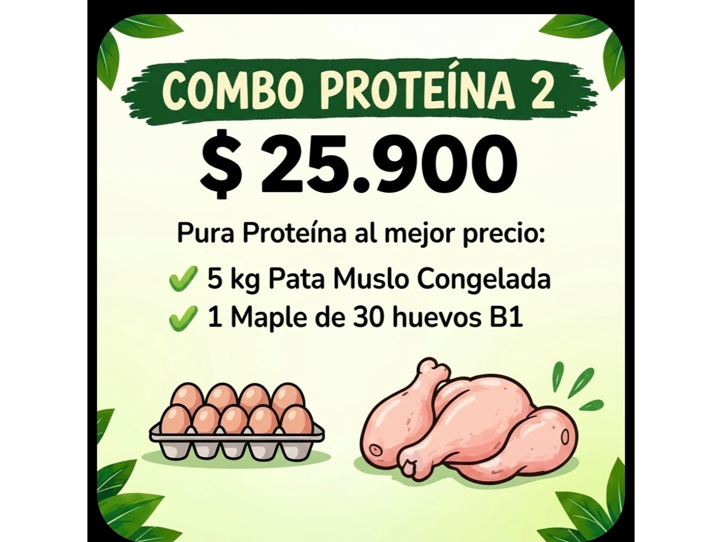 Combo Proteina 2