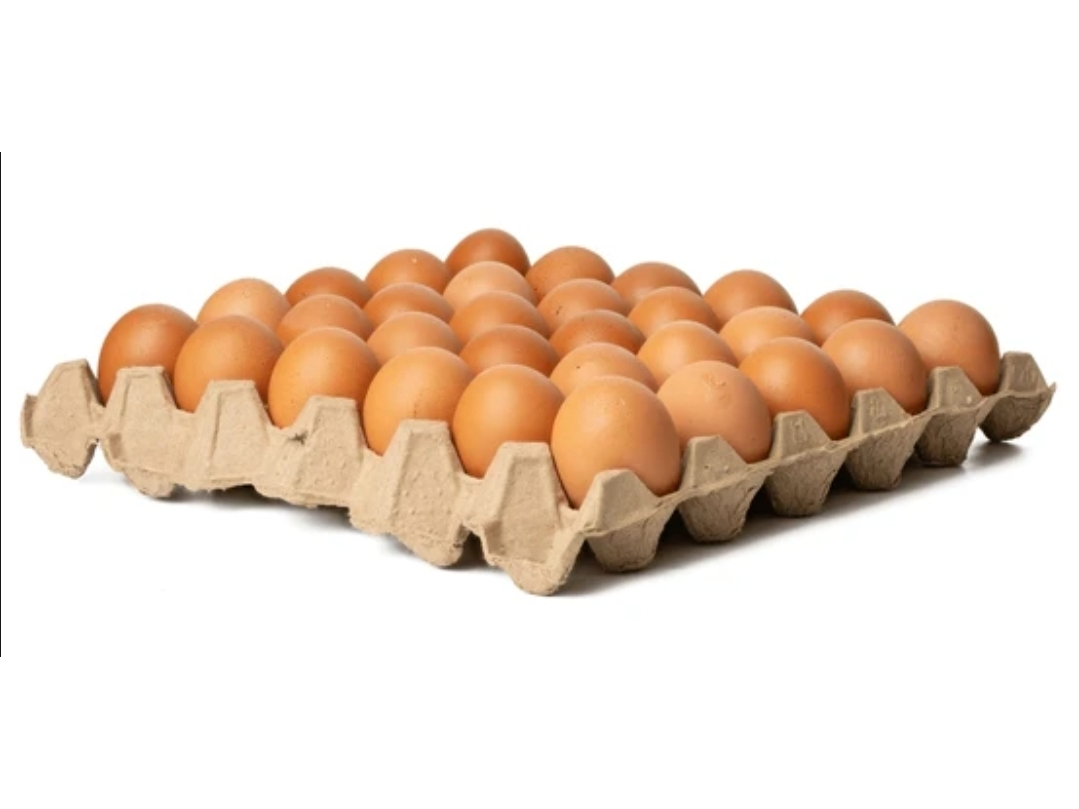 MAPLE DE HUEVOS B1 ( GRANDES) de Chichos
