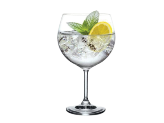 Copa Gin Tonic Bohemia