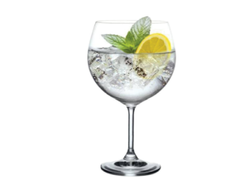 Copa Gin Tonic Bohemia