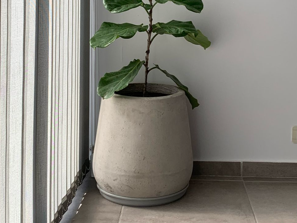 Maceta cemento gota 30