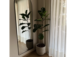 Pandurata + Maceta Bowl Cemento