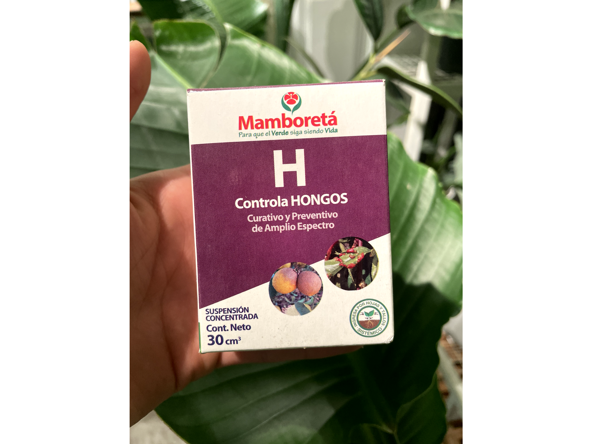 Fungicida Mamboretá