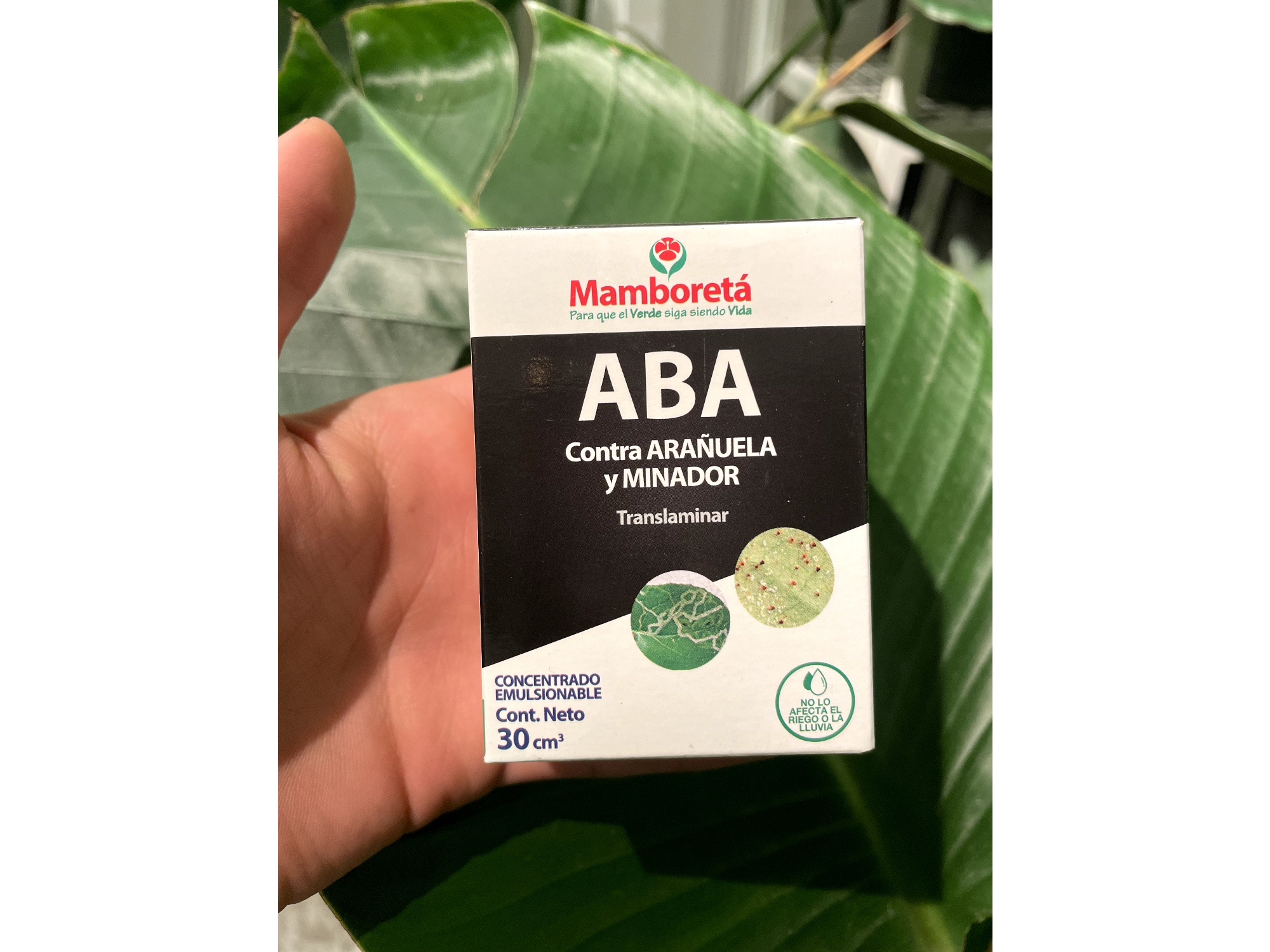 Insecticida Mamboretá ABA