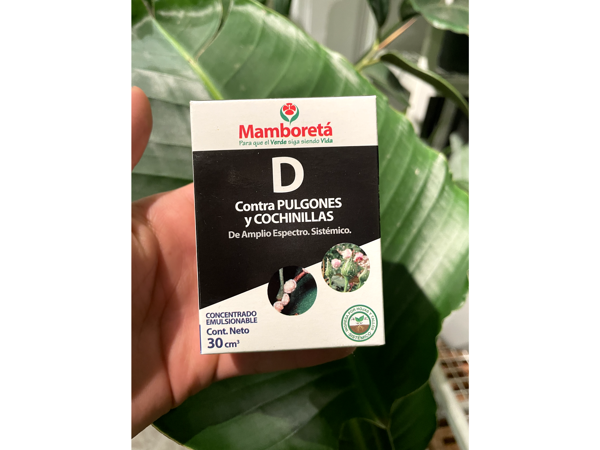 Insecticida Mamboretá D
