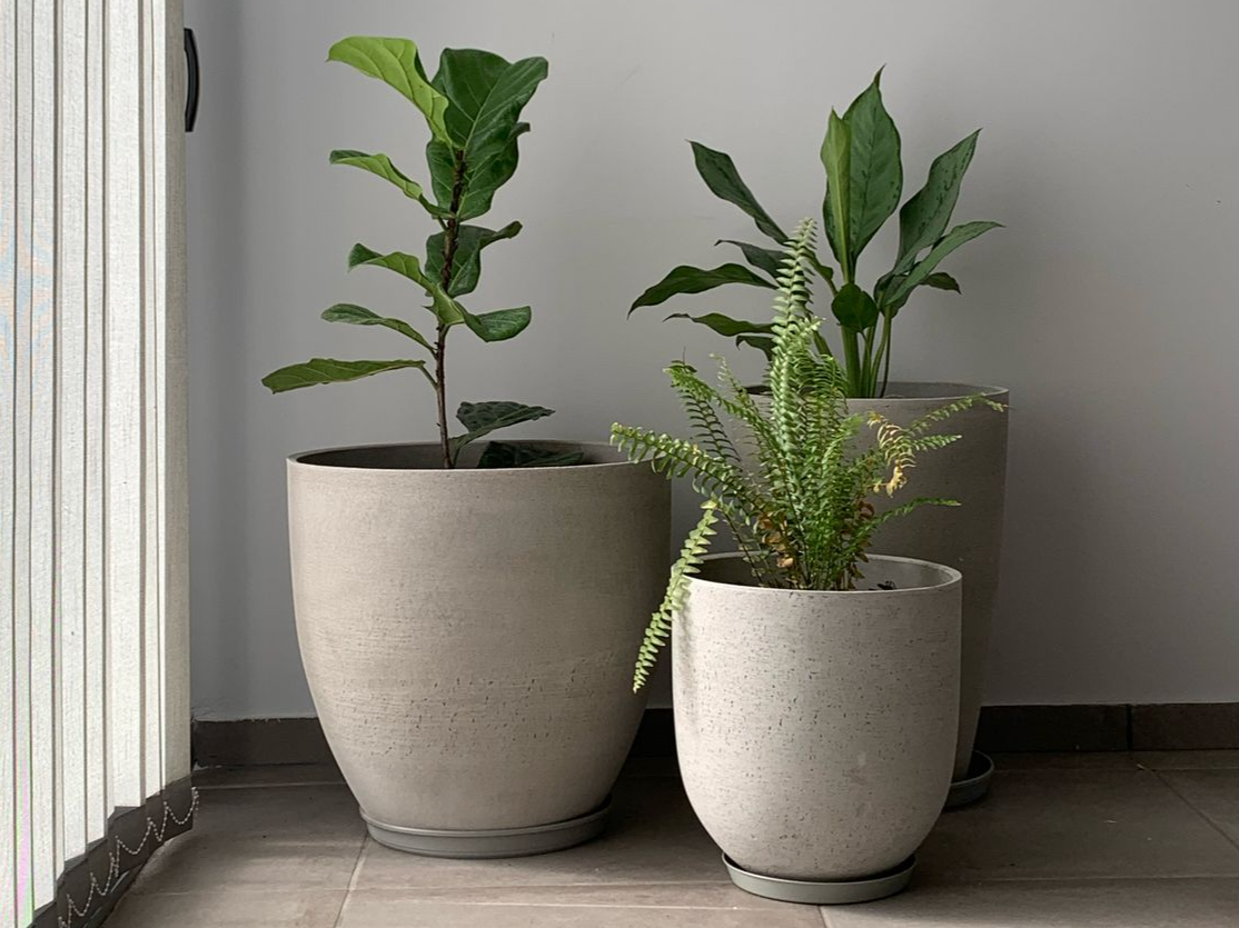 Combo x3 macetas cemento cono 55, boca ancha 50 y comba 30