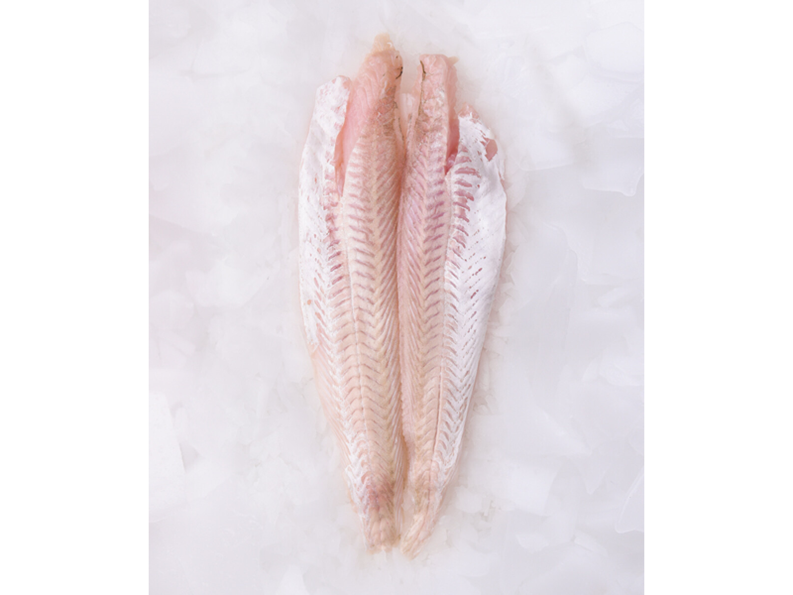 Merluza natural congelada x 1kg