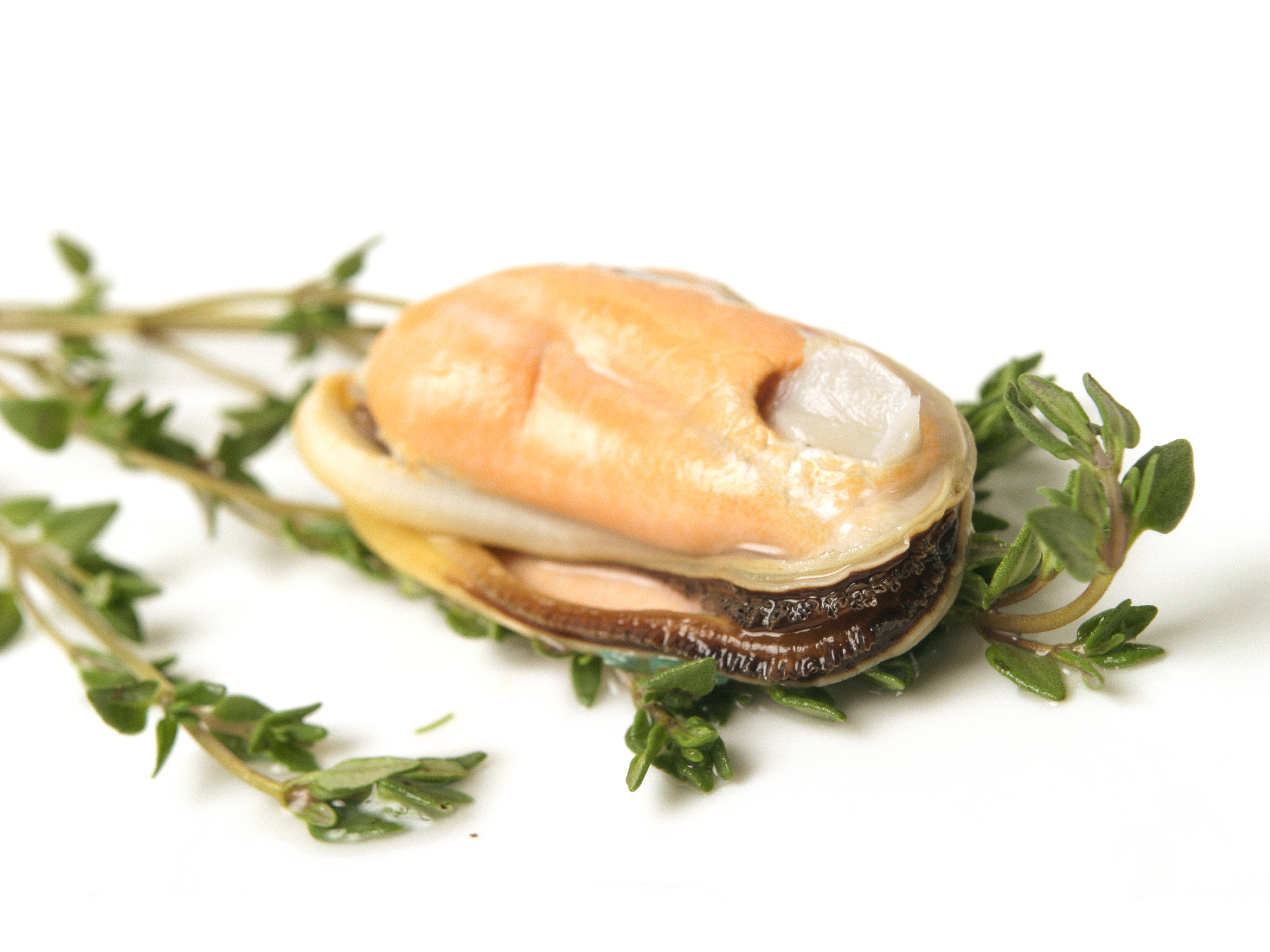 Mejillones Pelados