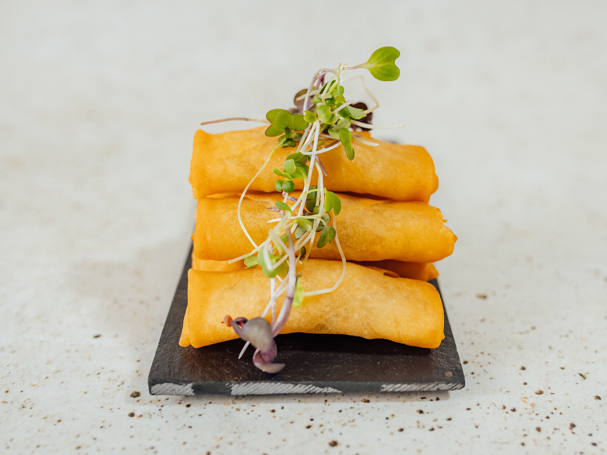 Spring Rolls de Carne - x 18 u