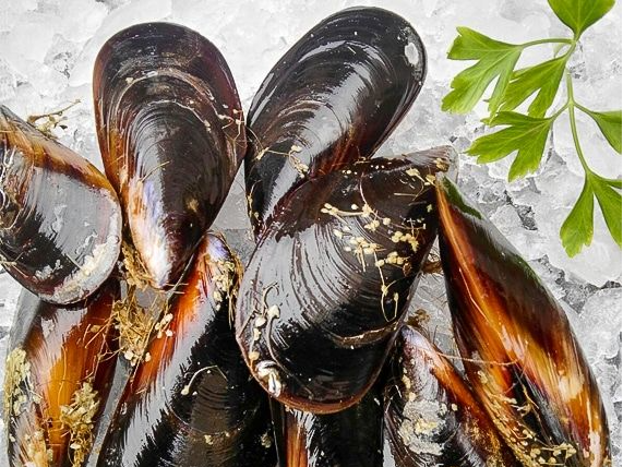 Mejillones valva entera