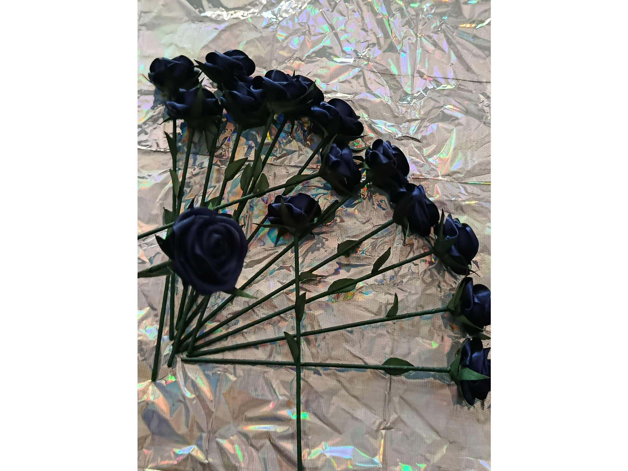 15 ROSAS