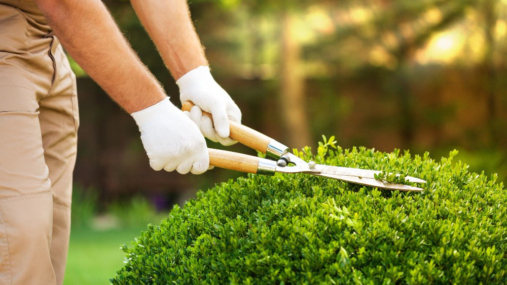 Jardinería