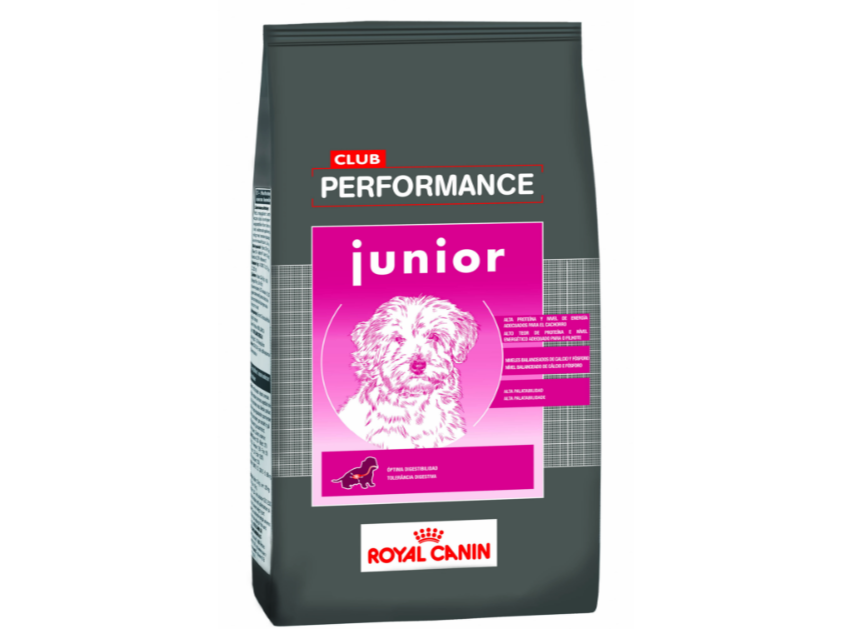 R.C Performance Cachorro - 15 kg