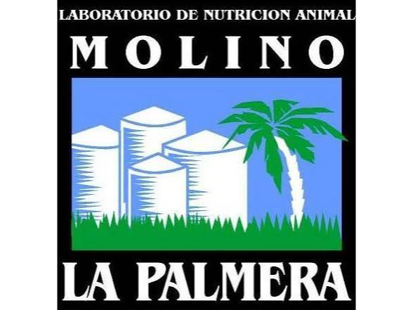 Conejo mantenimiento x kg "La Palmera"