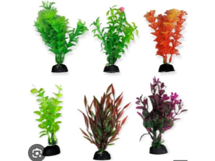 Plantas para acuerio x 10 cm de alto