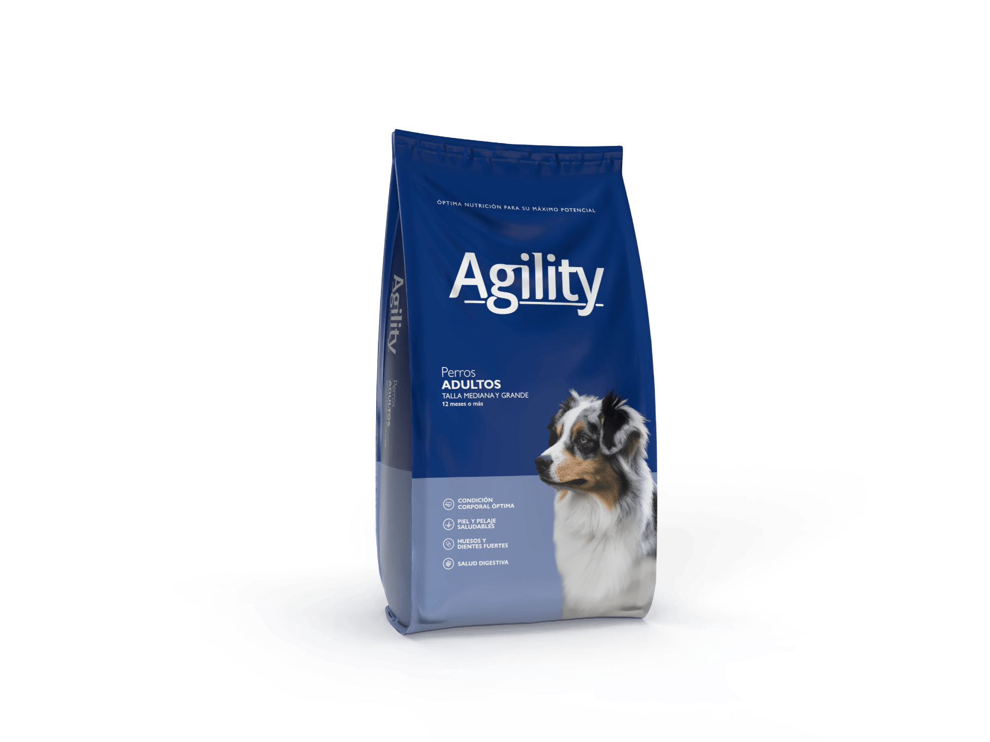 Agility comun x KG