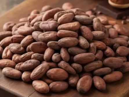 Semillas de cacao