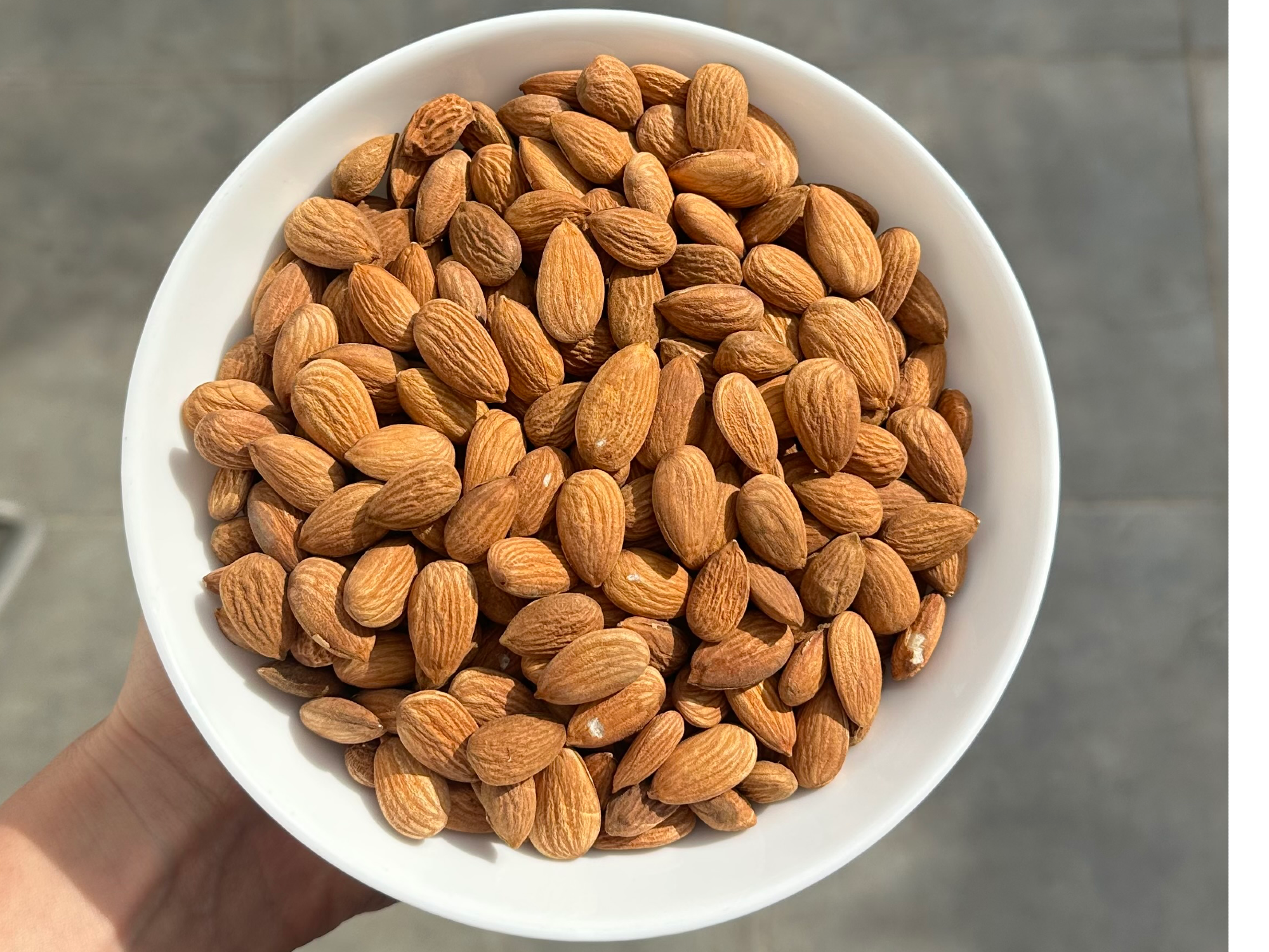 Almendra non pareil
