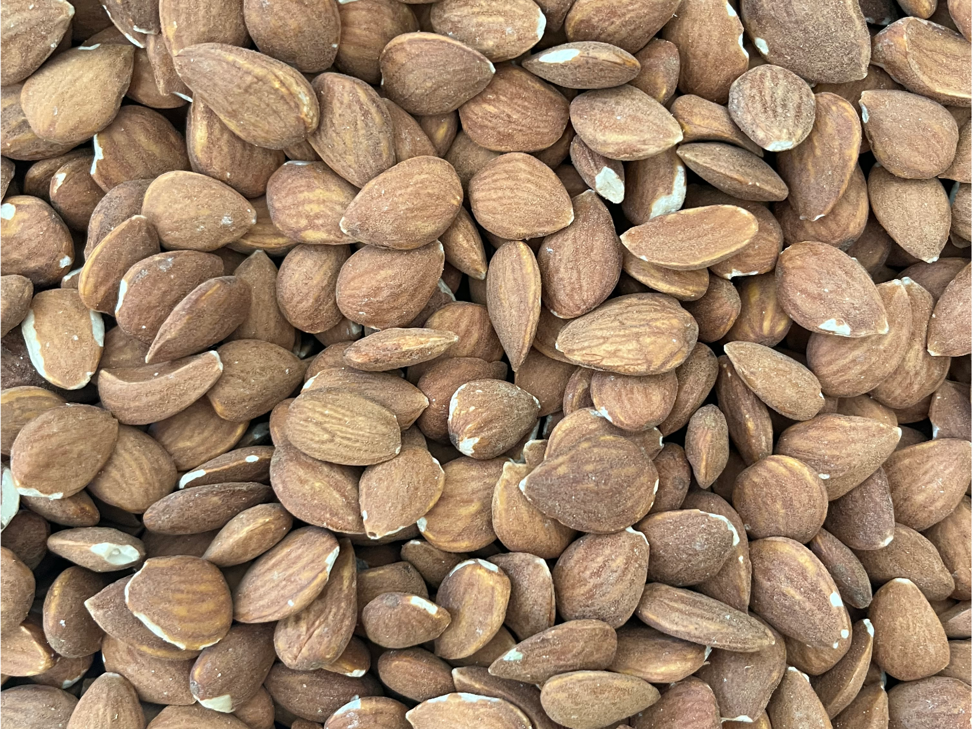 ALMENDRA GUARA GRANDE CAJA CERRADA X 10 KGS