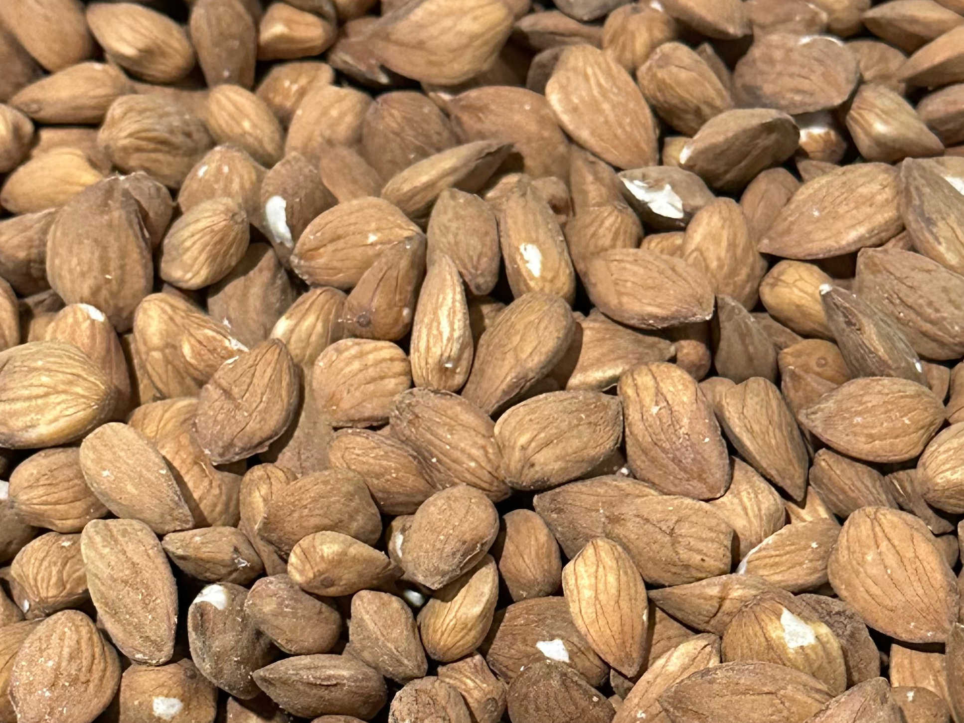 Almendra guara de Rode Mayorista
