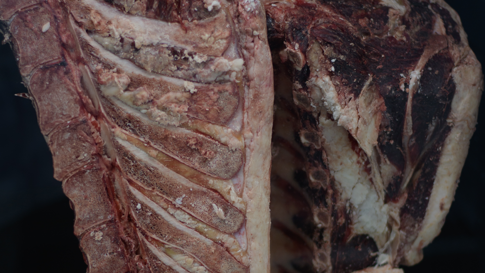Carne Madurada  |  "Dry Age"