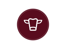 Flat Iron "Dry Age Black Angus" RECOMENDADO