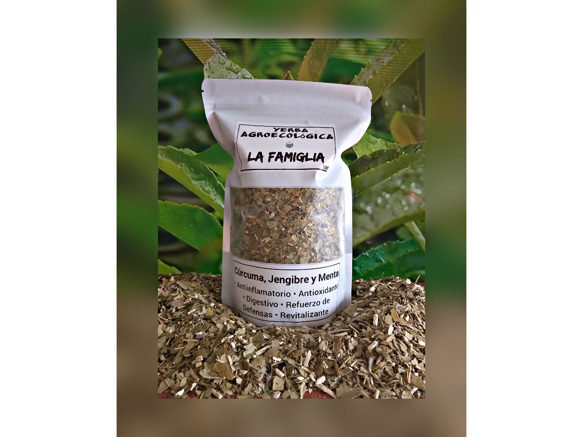 Yerba con Cúrcuma + Jengibre + Menta
