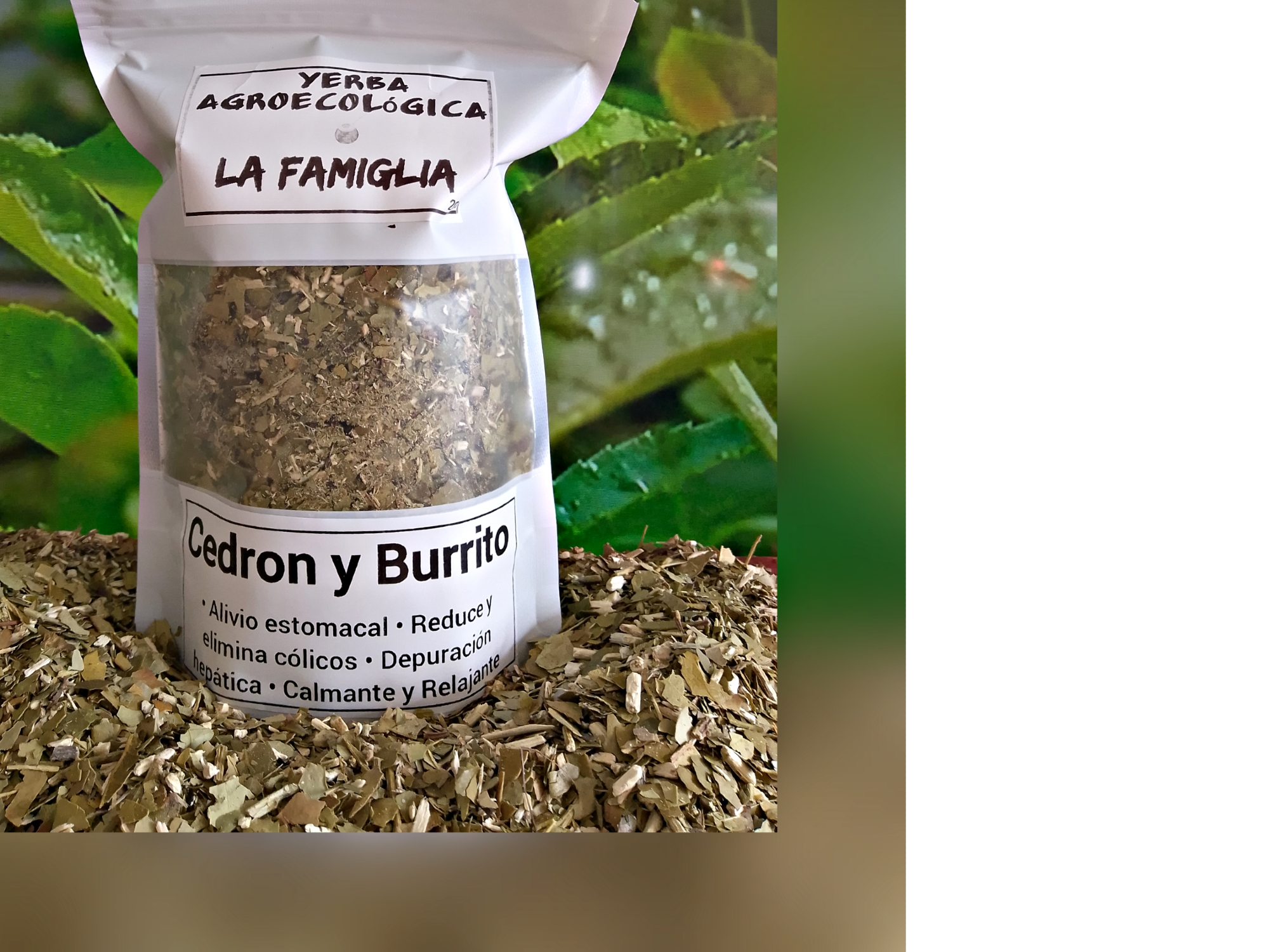 Yerba con Cedrón y Burrito